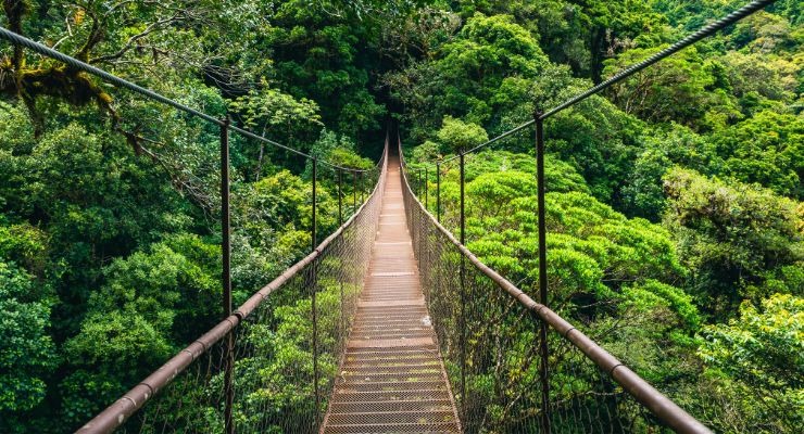 Day five: Monteverde Cloud Forest Hanging Bridges and Zip line Experience