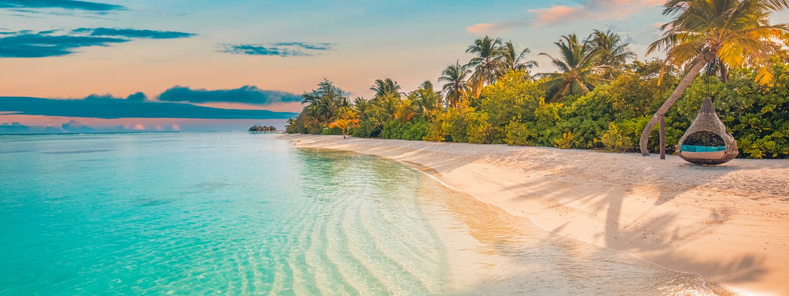 New Solo travel tours   