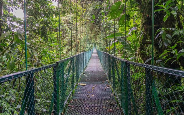 Monteverde Cloud Forest