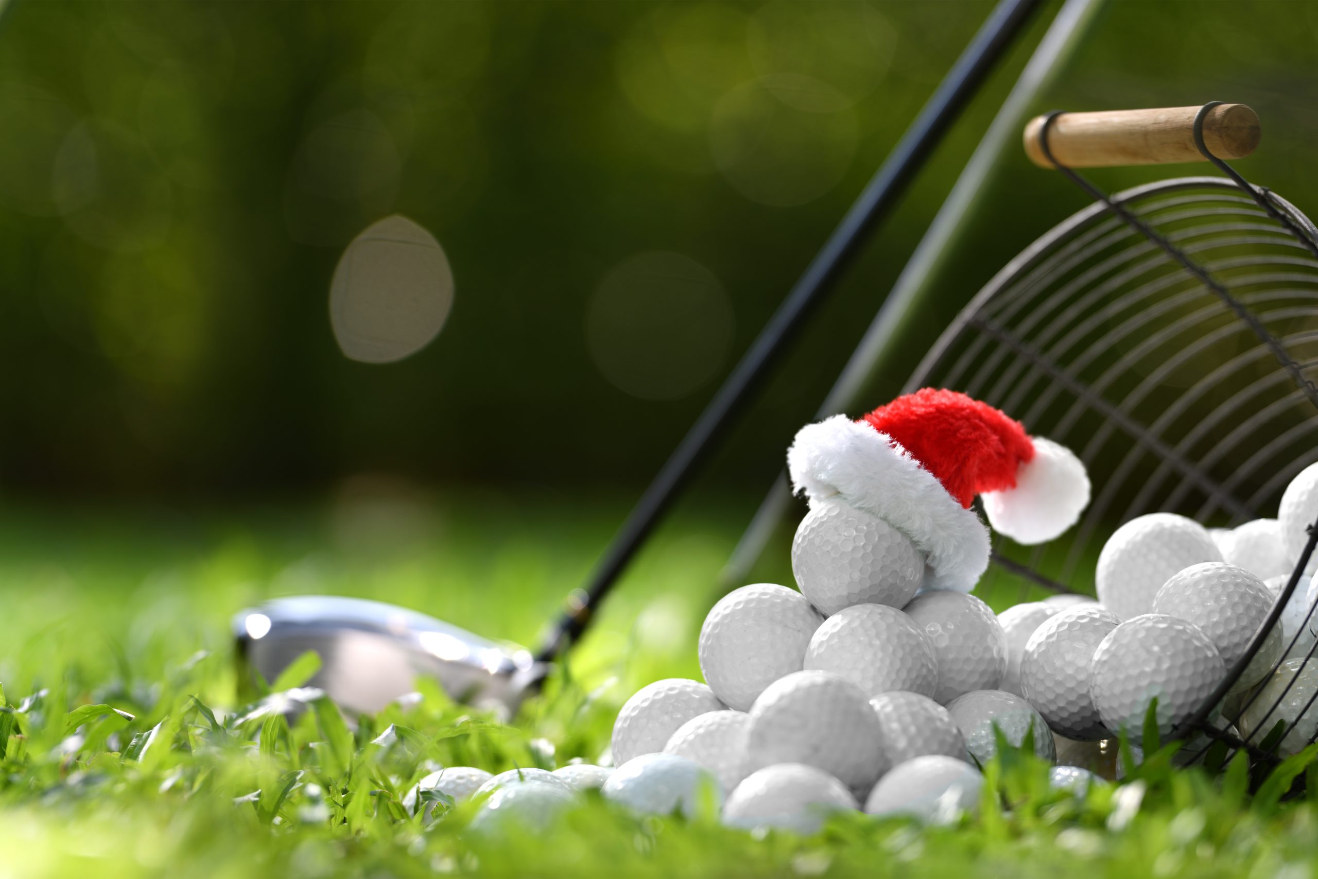 Festive Golf