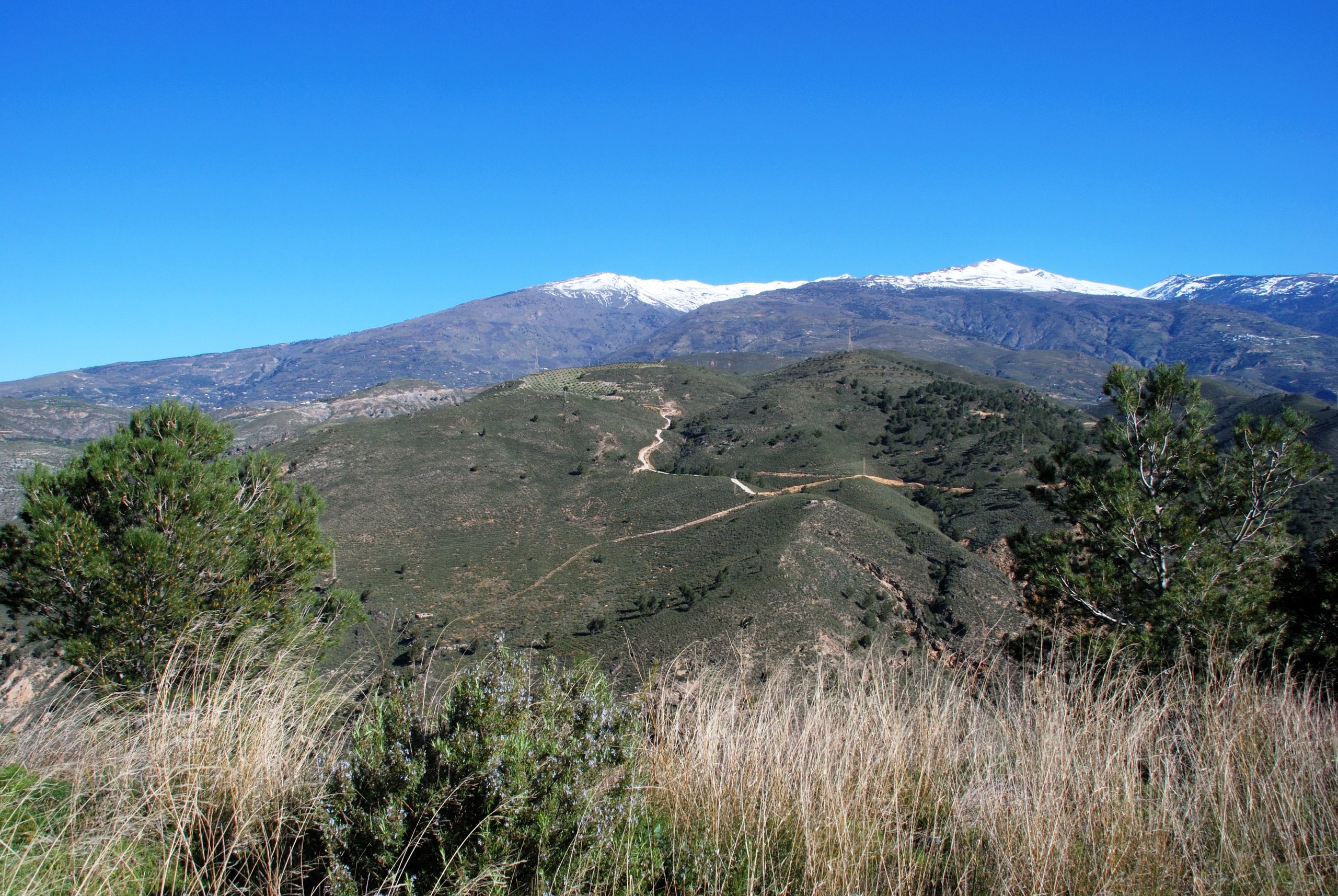 Day Six: Walking village to village in the Lecrín Valley