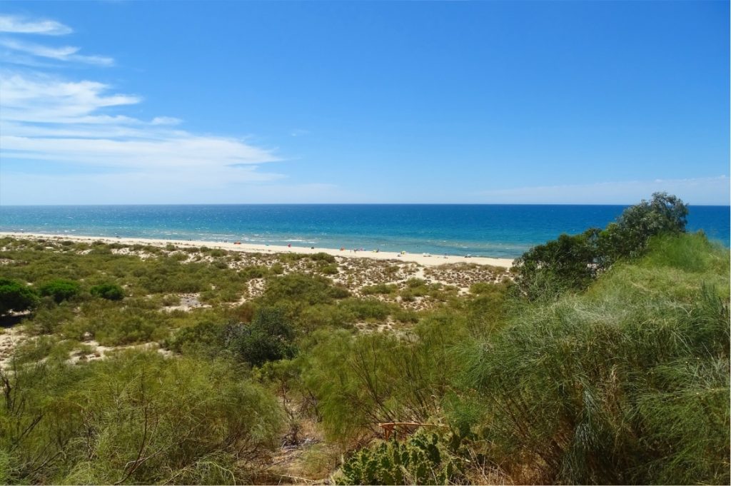 Day Two : Hiking Altura to Monte Gordo