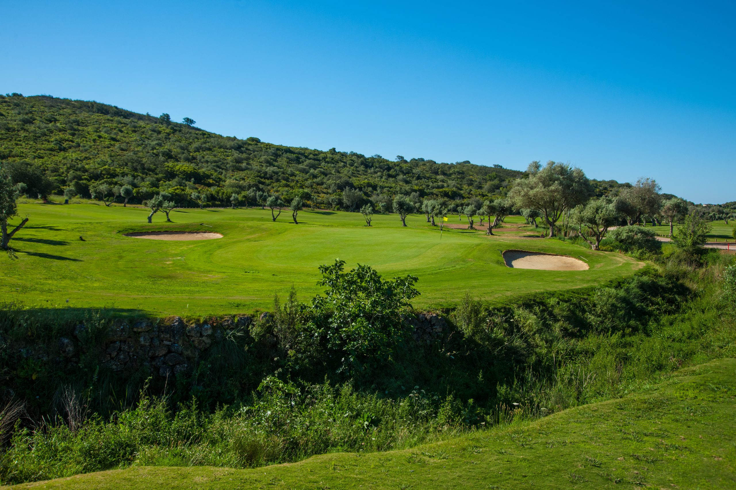 Morgado Alamos Course