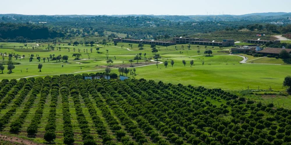 The Algarve