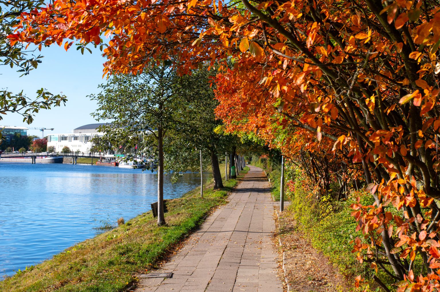 Best Solo Travel Destinations for Fall