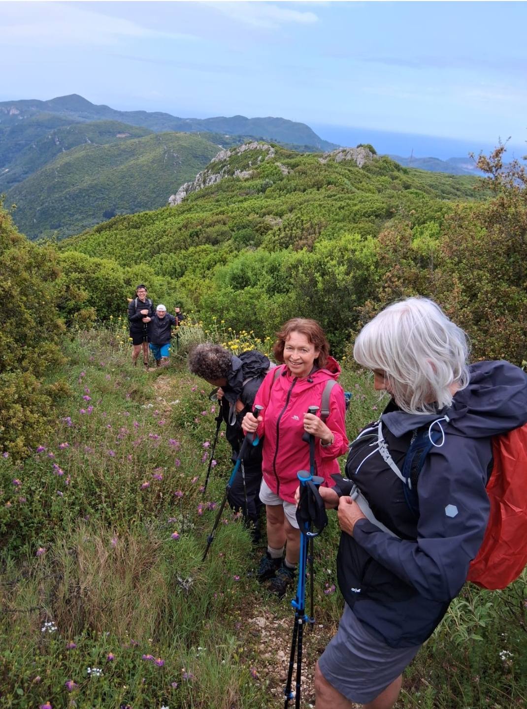 Curated group travel experiences for 50+ solo travelers, fostering connection and adventure