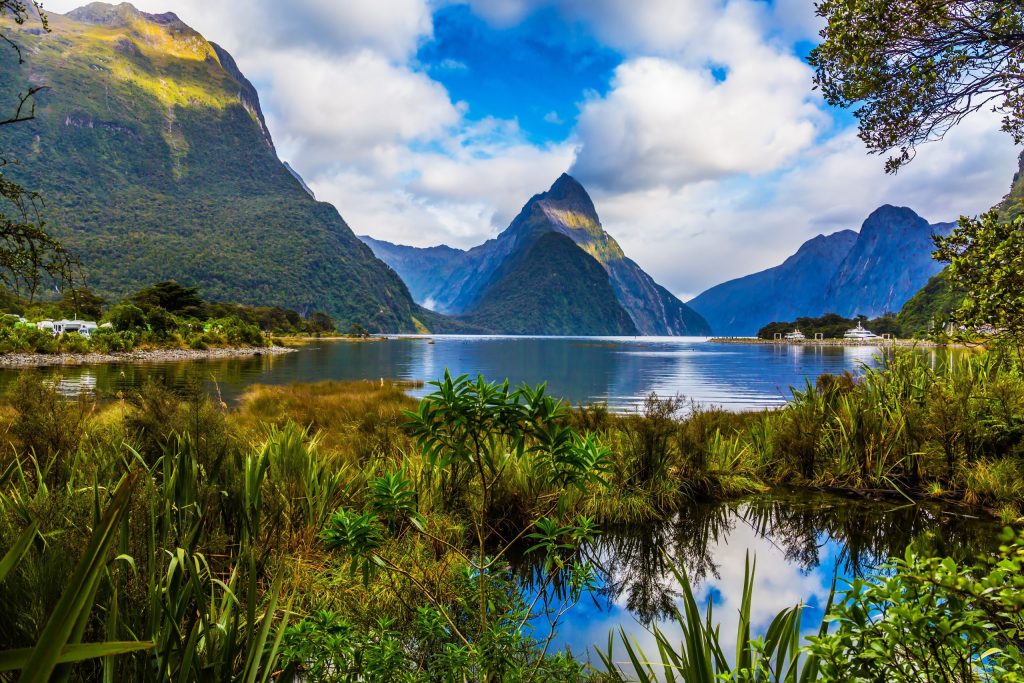 Day Seventeen: Scenic Cruise through Milford Sound