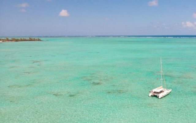 Catamaran Cruise (inc)