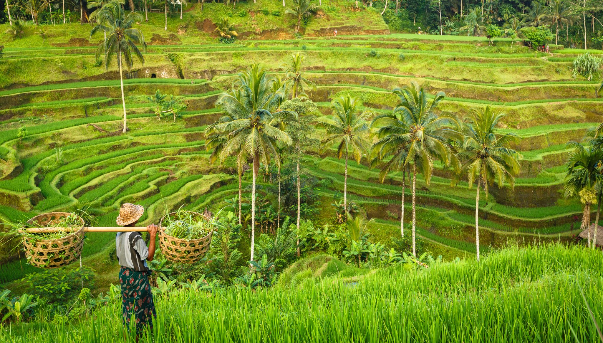 Discover Bali & Lombok
