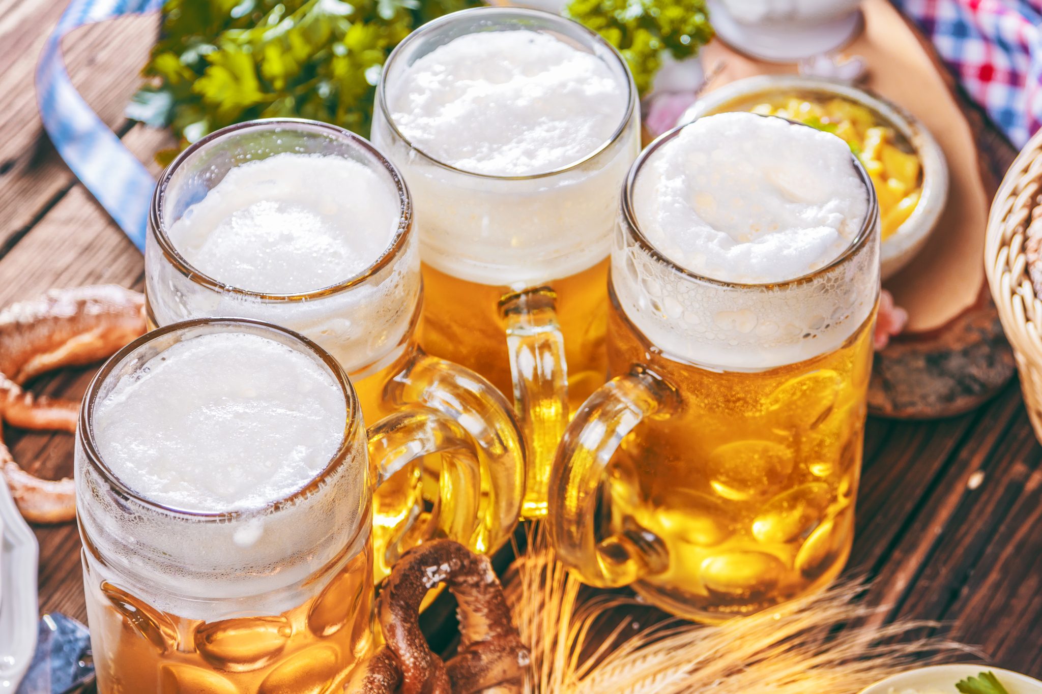 Steam to Steins : A Taste of Germany