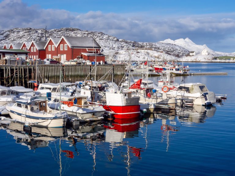 Day 4: Bodø – Into the Arctic - Merry Christmas