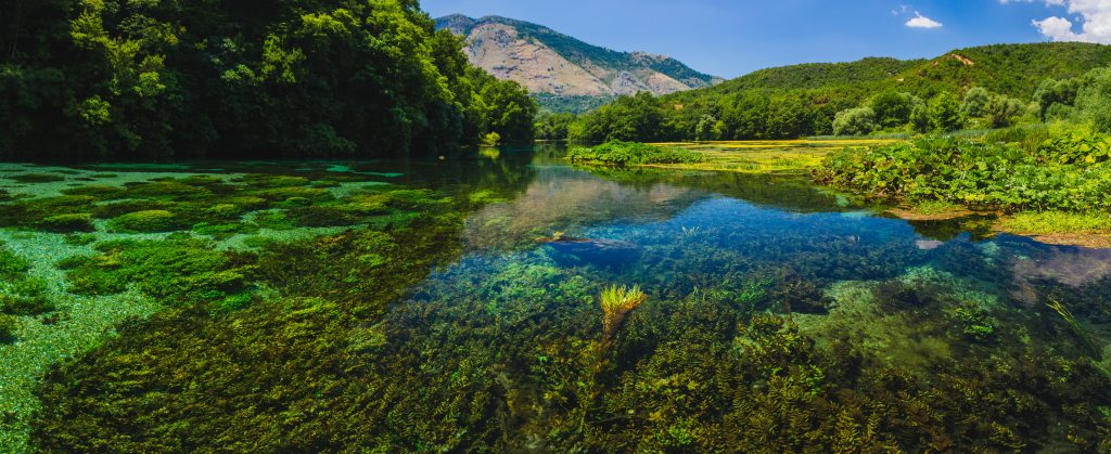 Day Seven: Gjirokaster, Blue Eye Spring & Saranda
