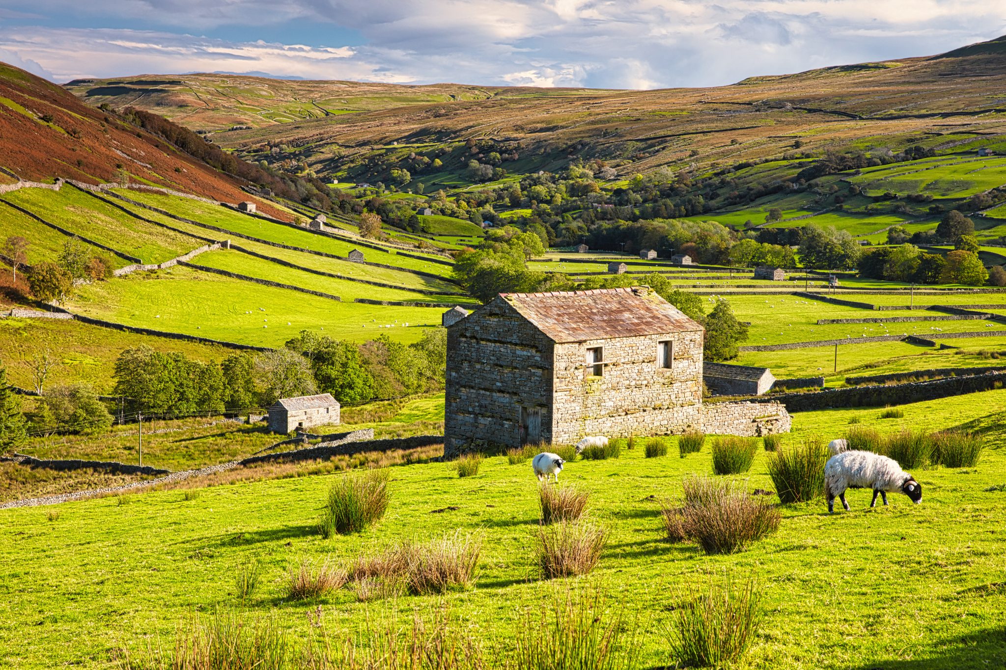Yorkshire Dales Walking
