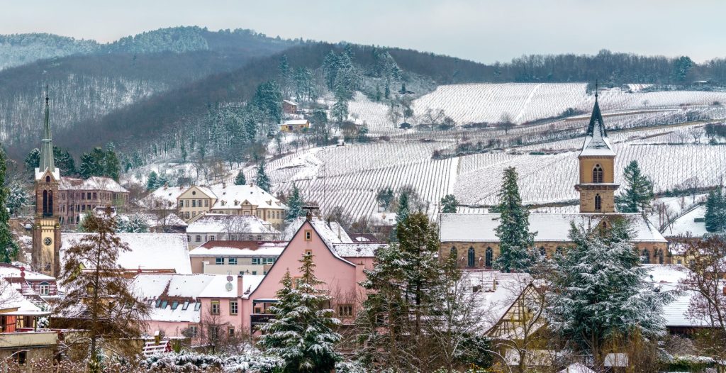 Day Three: Obernai - Alsatian Wine Route & Riquewihr