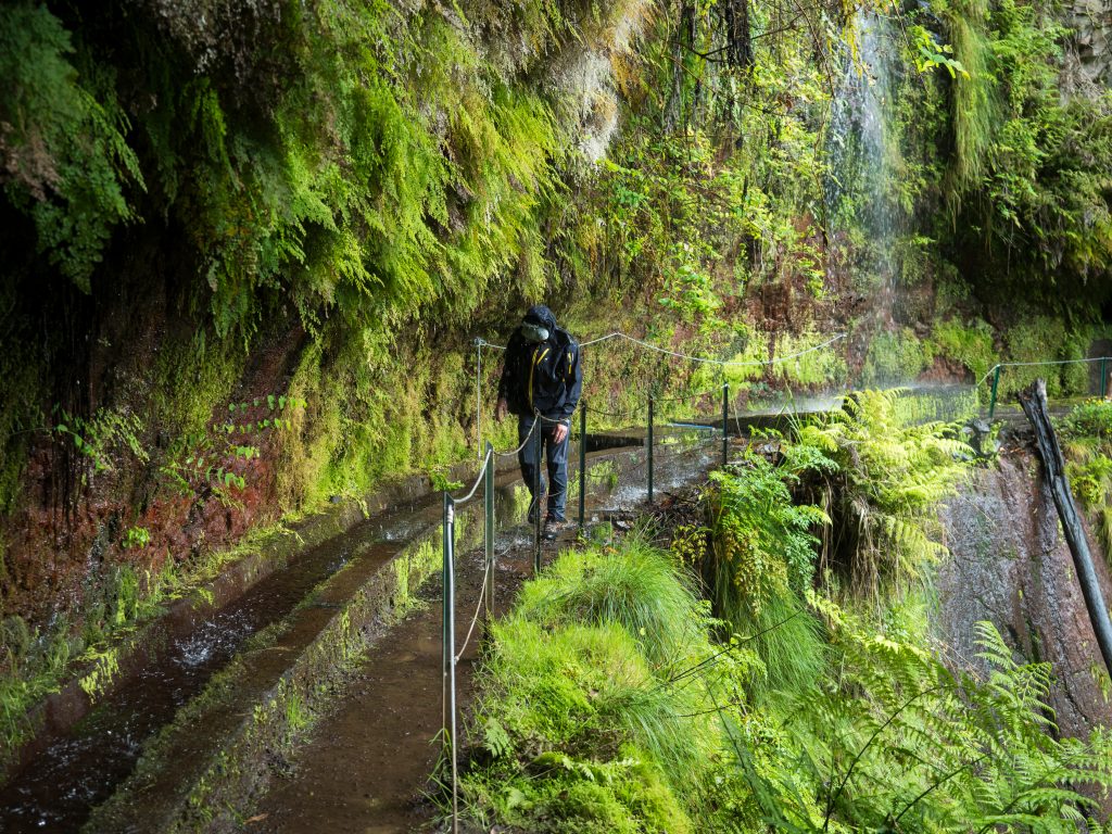 Day Two: Levada do Rei in São Jorge