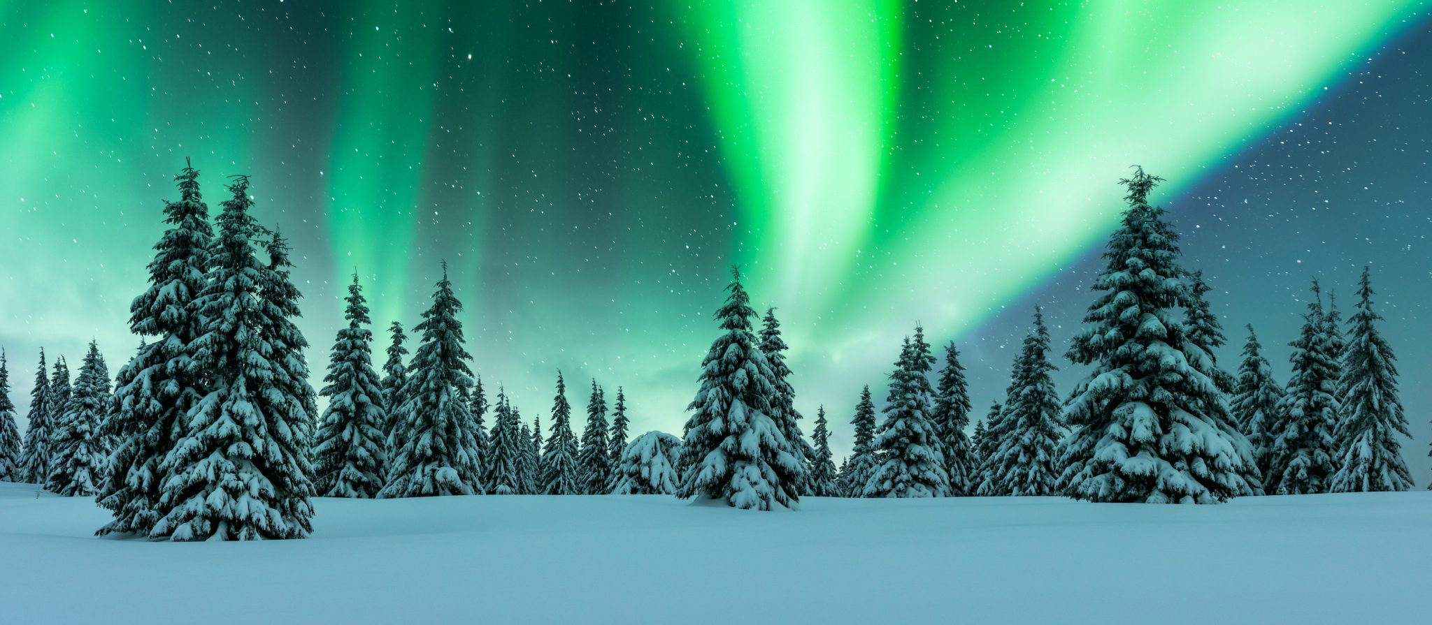 Finland Winter Multi-Activity 