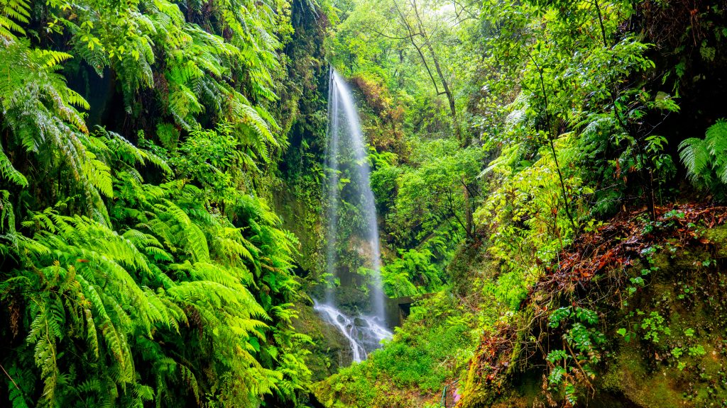 Day Three: El Cubo de La Galga - Los Tilos
