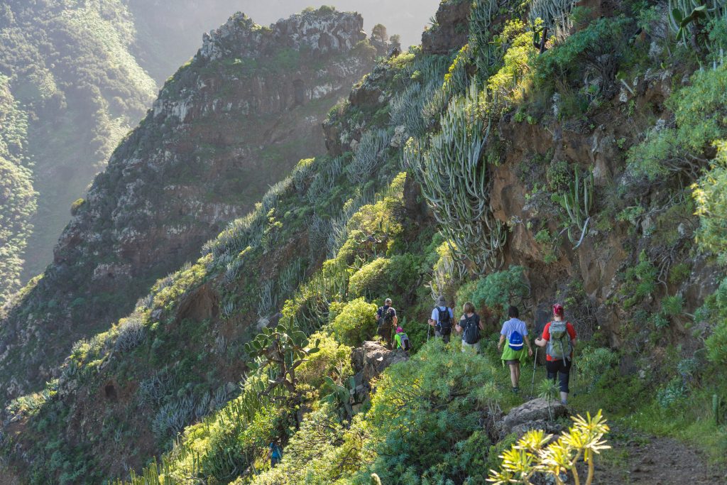 Day Eight: Departure Day