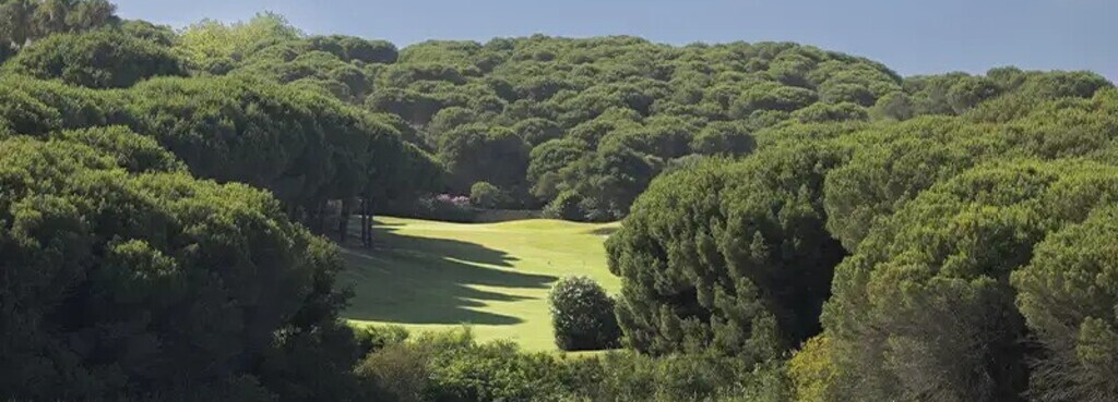 The Alto Club (Sotogrande)