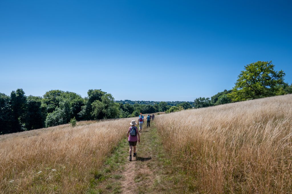 Day Three: Cotswolds Woodlands & Grasslands