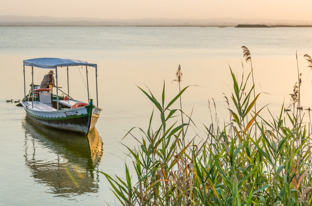Day Three: Albufera Lagoon & Paella experience