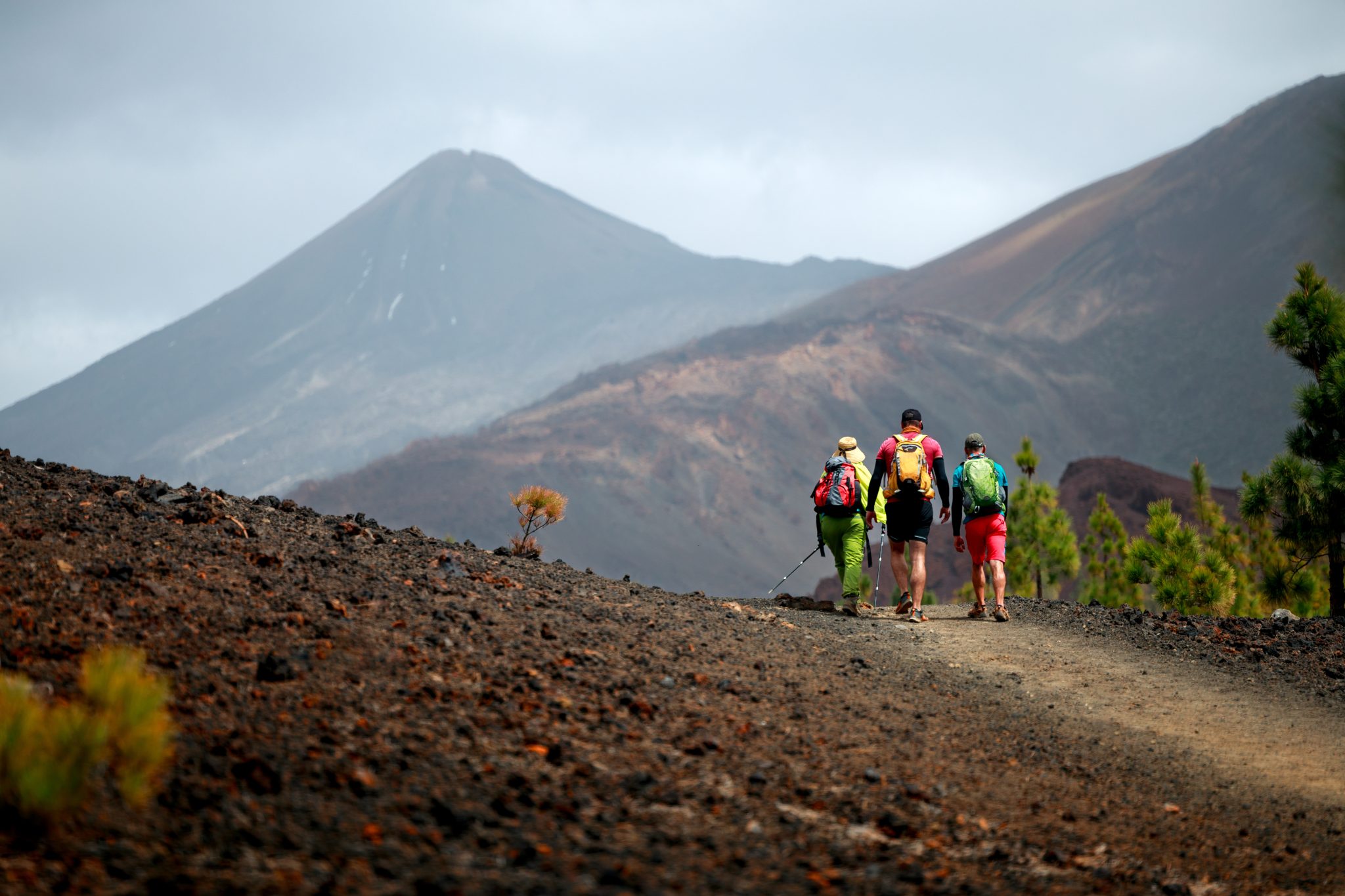 Walking in Tenerife & La Gomera