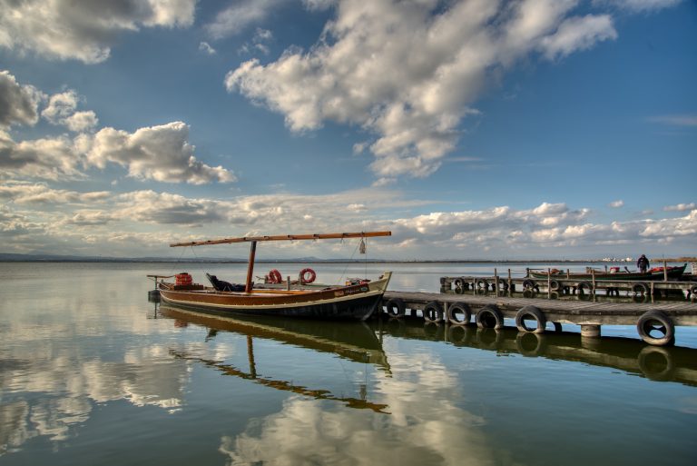 Albufera Lagoon Cruise