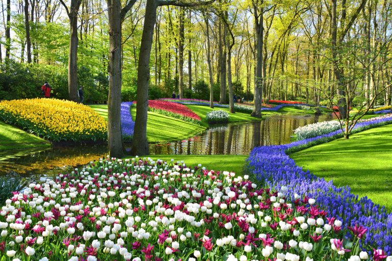 Keukenhof Gardens