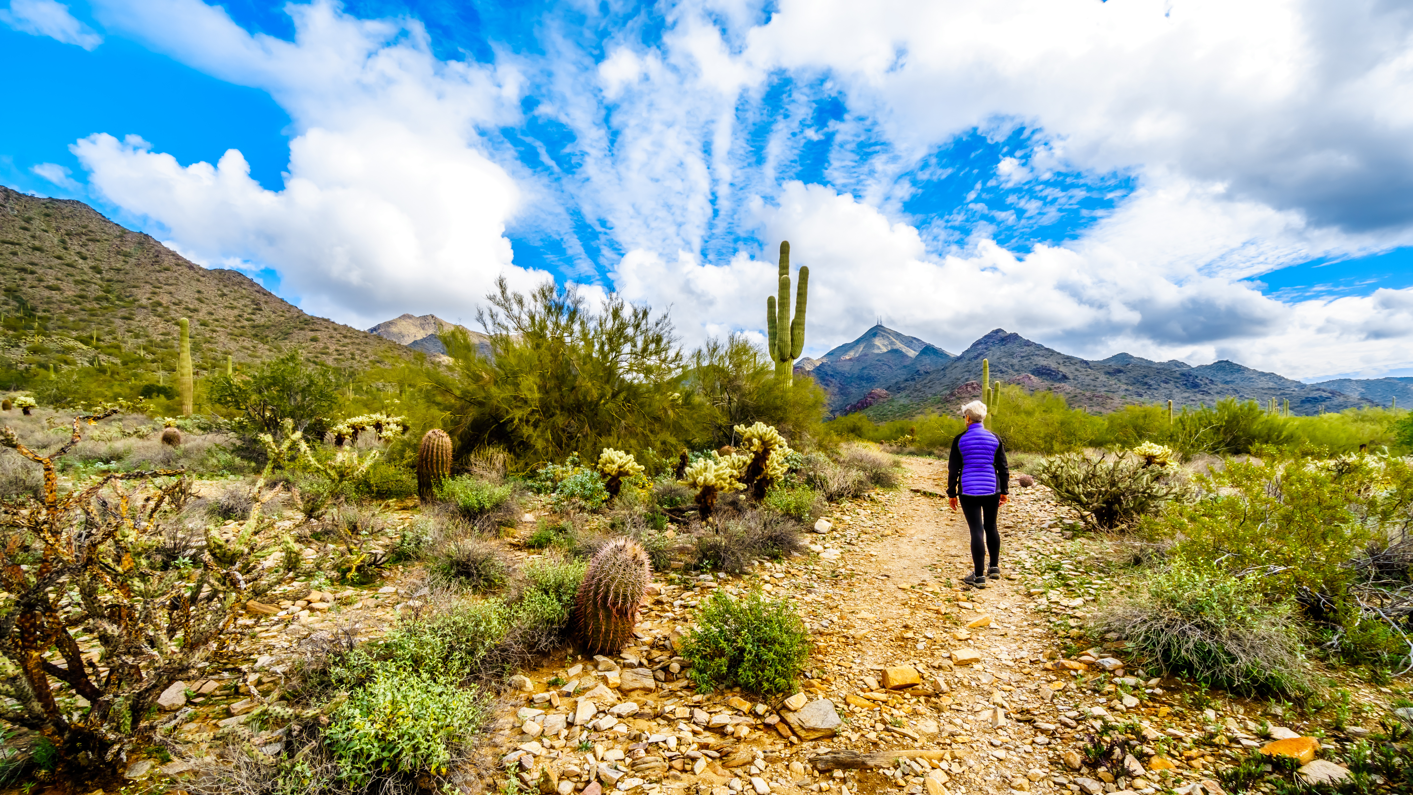 Walking in Arizona, USA