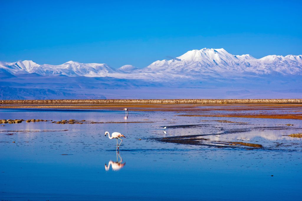 Day Six: Salar de Atacama & Toconao