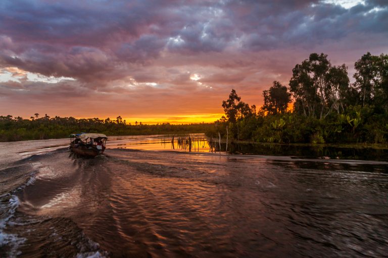 Palmarium Reserve