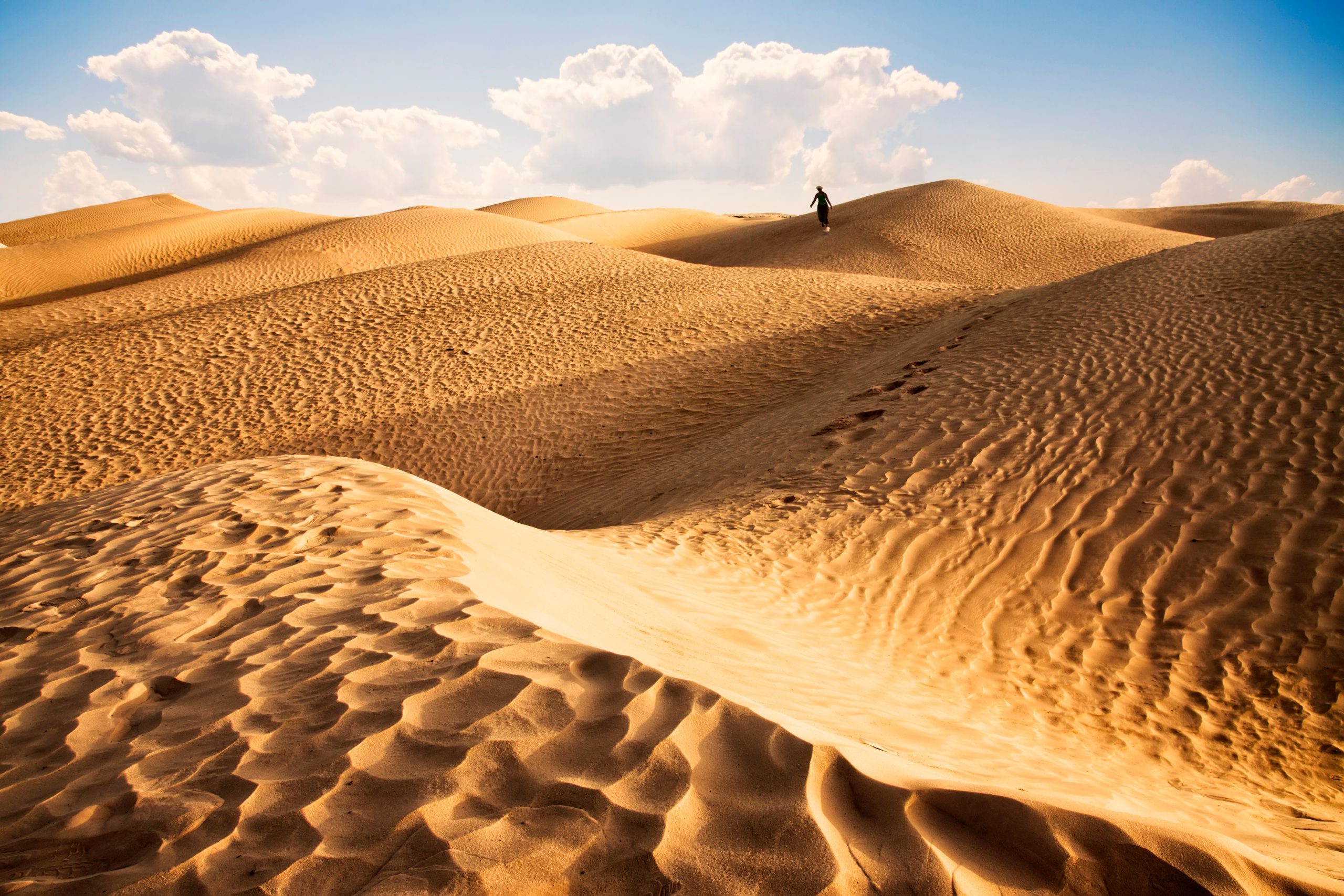 Desert Landscapes