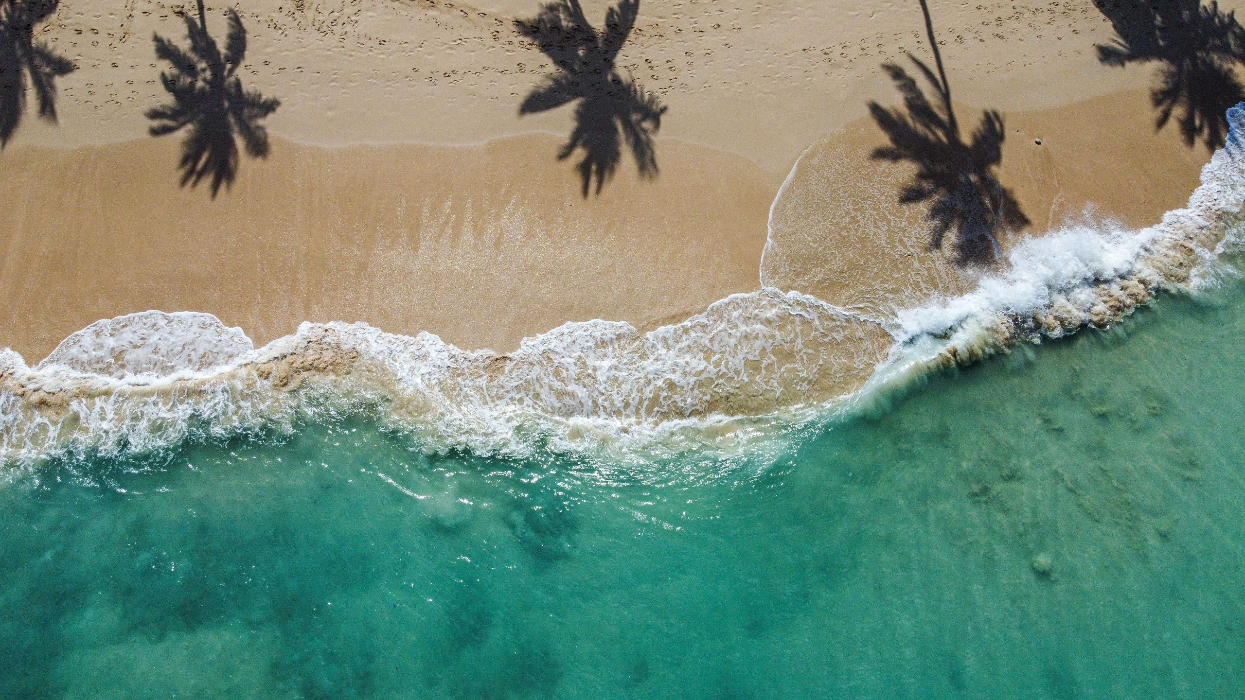 Barbados Solo Tours & Holidays