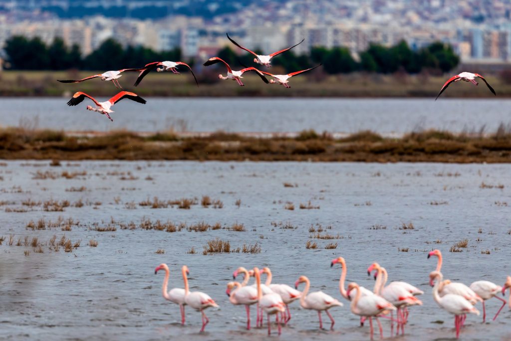 Day Two: Kalochori Lagoon
