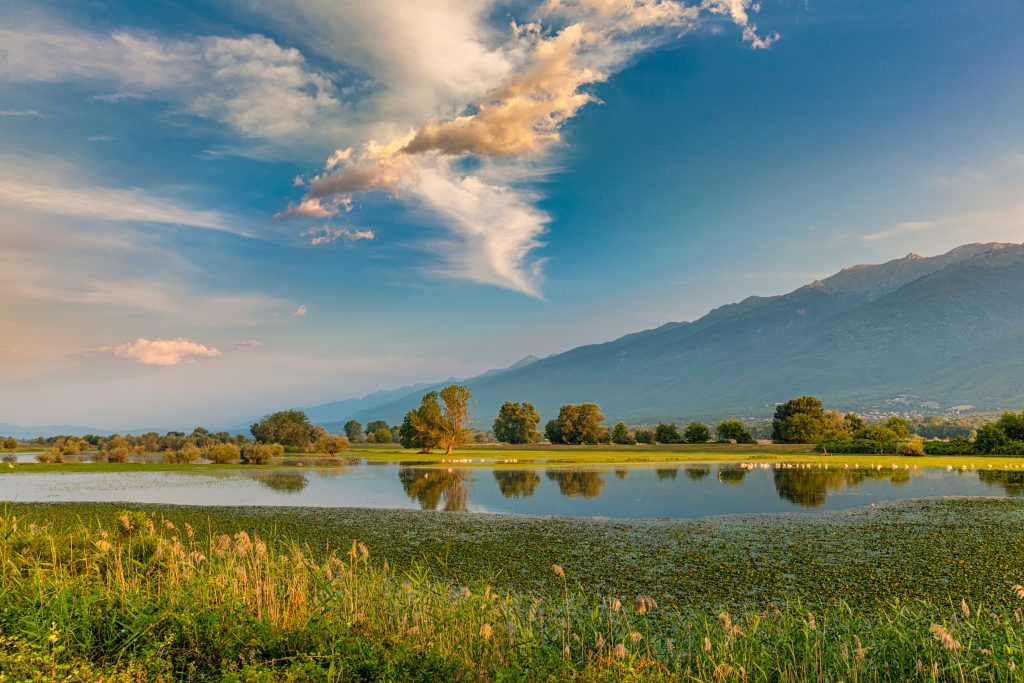 Day Seven: Lake Kerkini