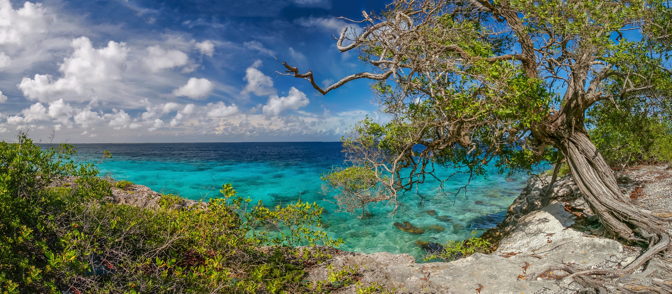  Bonaire Solo Tours & Holidays