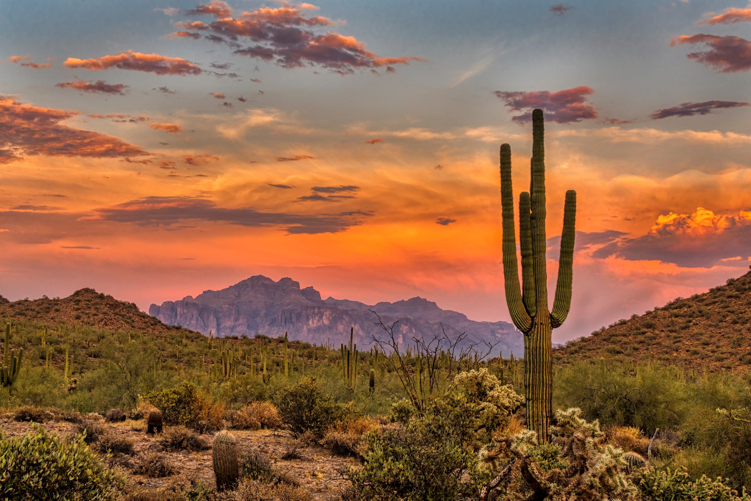 Epic Landscapes