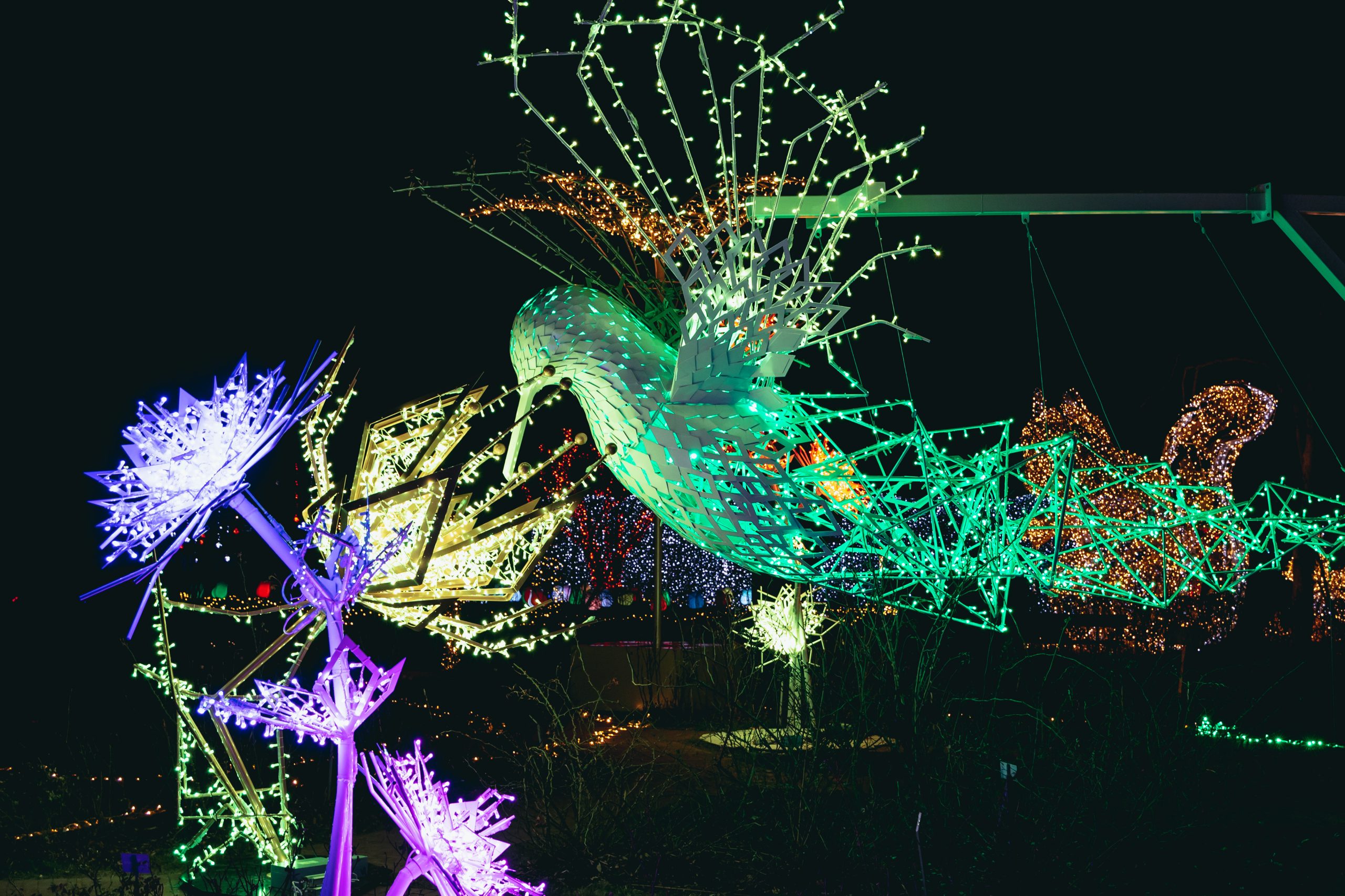 Garden of Lights Garden of Lights