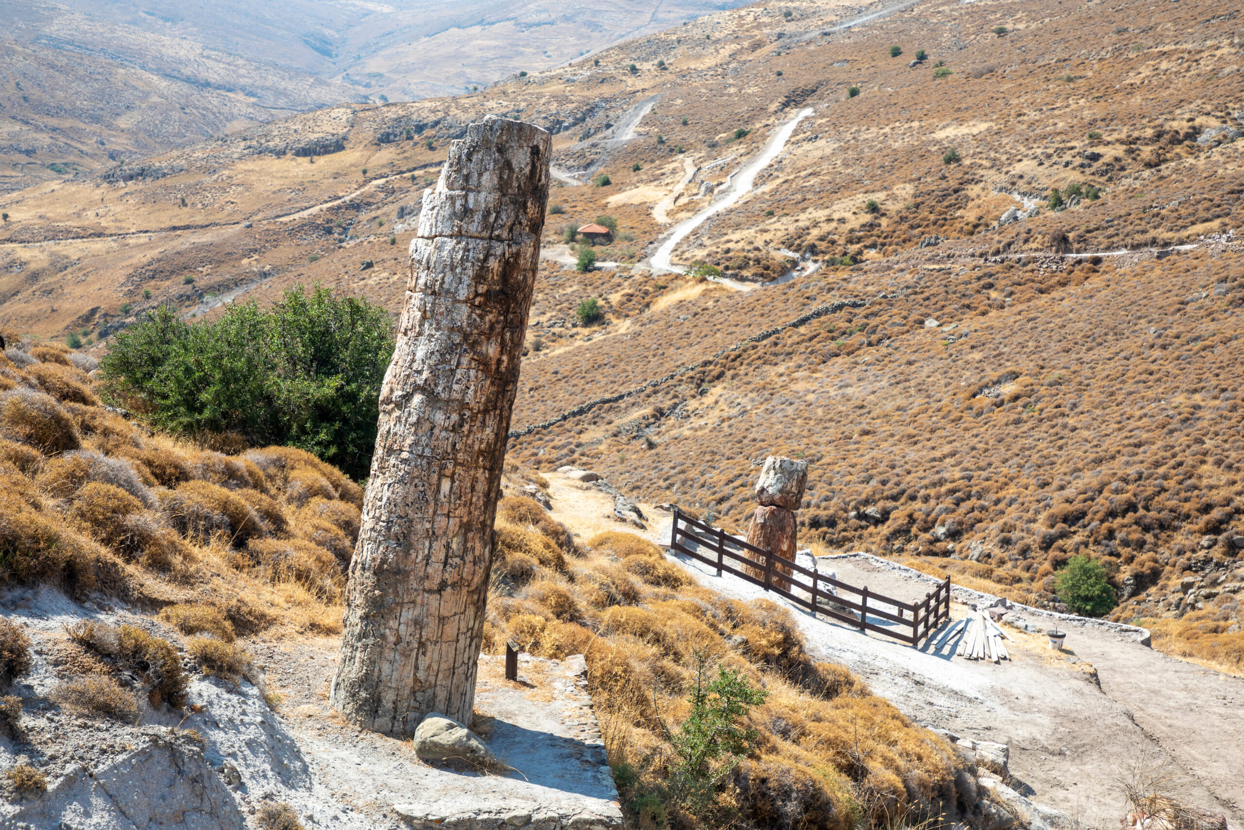 A fabulous choice of optional excursions